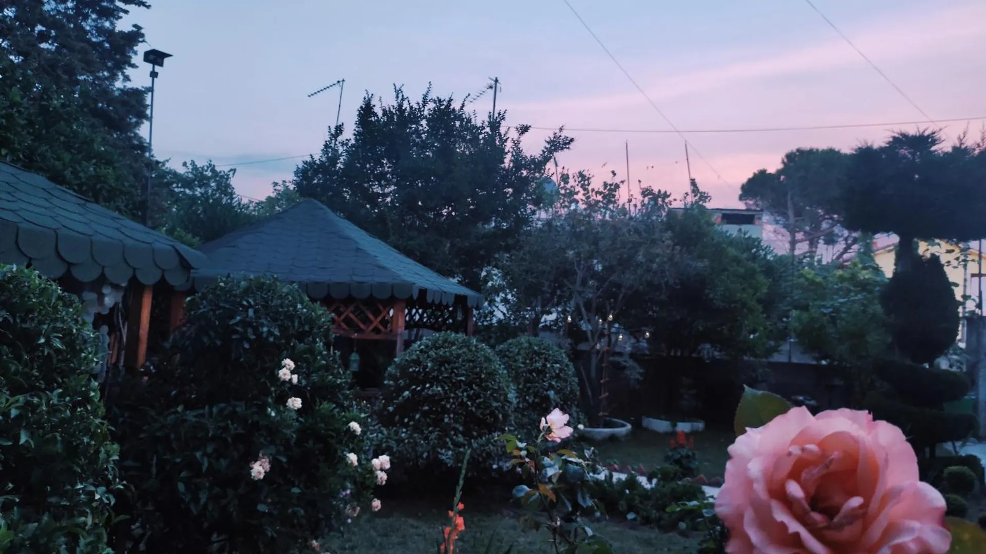 Homestay Beauty Day Dıraç 0*,